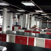 全鋼實(shí)驗(yàn)臺FJ-QGSYT1-3楓津?qū)嶒?yàn)室家具