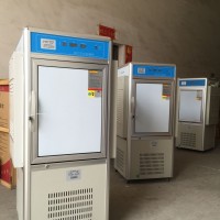 左樂品牌80L人工氣候箱PRX-80B