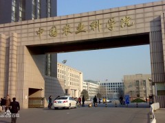 中國農(nóng)科院特產(chǎn)所870多萬元儀器設備采購項目 中標結果公布