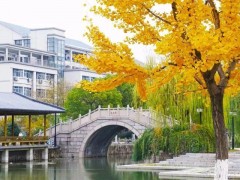 預(yù)算約1050萬元 江南大學(xué)采購國產(chǎn)實(shí)驗(yàn)室儀器設(shè)備及廢氣處理設(shè)備
