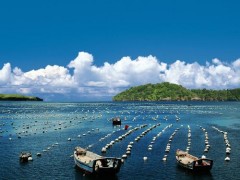 涉及海水養(yǎng)殖、移動源大氣污染物排放的兩項環(huán)保標準正在征求意見