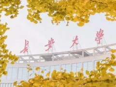 長安大學(xué)預(yù)算262萬 采購顆粒圖像處理儀、激光液態(tài)水同位素分析儀