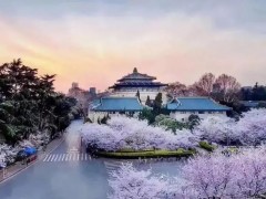 武漢大學(xué)2608萬 采購流式細(xì)胞儀、顯微鏡、PCR、離心機(jī)等通用設(shè)備