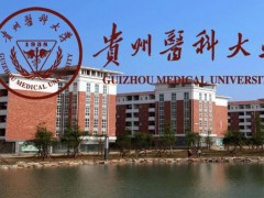 貴州醫(yī)科大學(xué)預(yù)算709萬(wàn) 采購(gòu)靜電場(chǎng)超高分辨液質(zhì)聯(lián)用儀等儀器設(shè)備