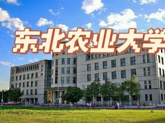 東北農(nóng)業(yè)大學(xué)農(nóng)學(xué)院預(yù)算31萬 采購高通量組織研磨儀等