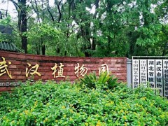 中國科學院武漢植物園預算185萬元 采購三重四極桿液質聯(lián)用儀