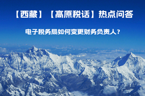 電子稅務(wù)局如何變更財(cái)務(wù)負(fù)責(zé)人？