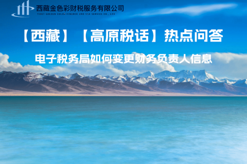 西藏電子稅務(wù)局如何變更財(cái)務(wù)負(fù)責(zé)人信息？